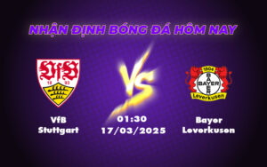 vfb stuttgart bayer leverkusen 17 03 bundesliga